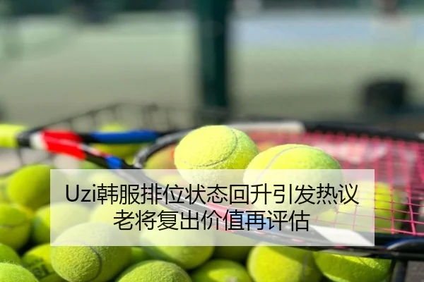 Uzi韩服排位状态回升引发热议 老将复出价值再评估